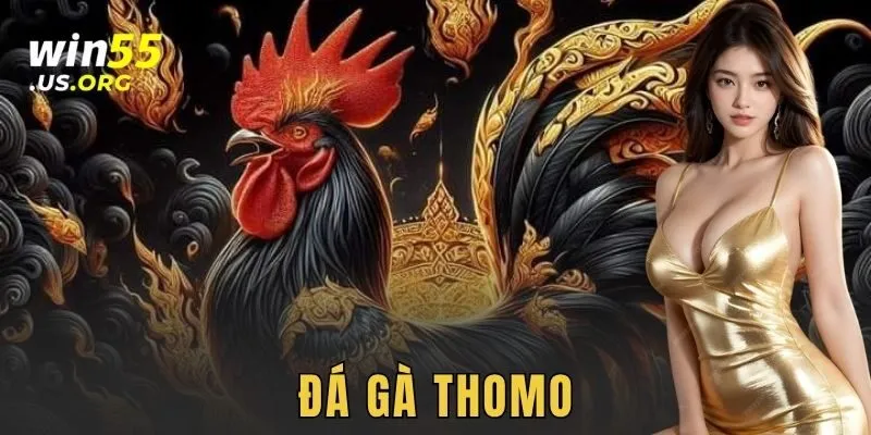 Đá gà thomo: Trận đấu kịch tính và kèo cược đỉnh nóc